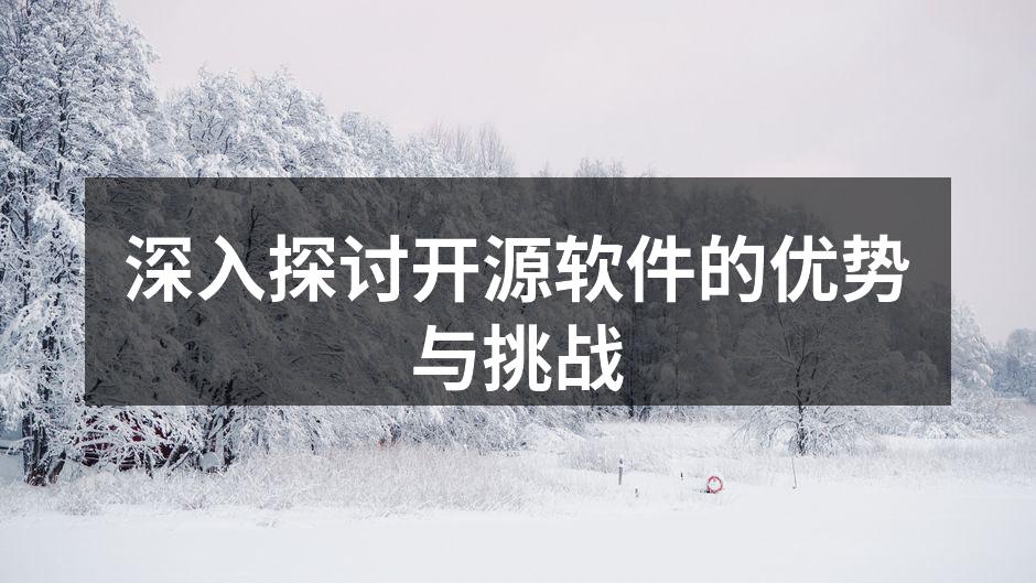 深入探讨开源软件的优势与挑战