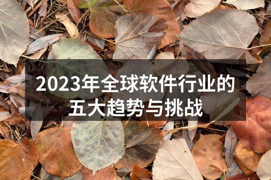 2023年全球软件行业的五大趋势与挑战
