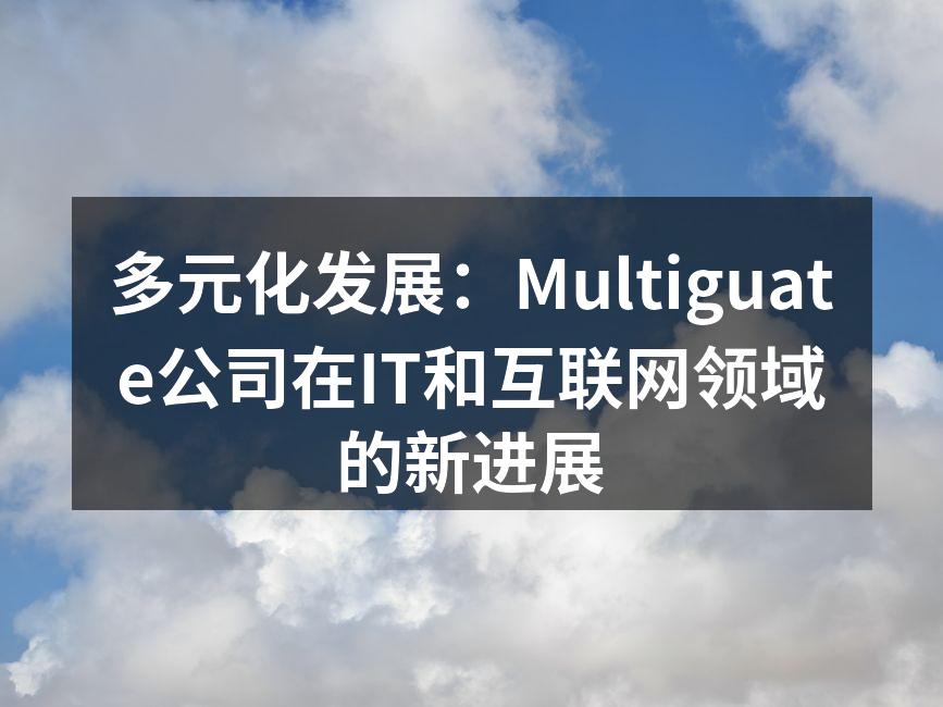 多元化发展:Multiguate公司在I