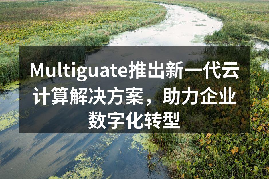 Multiguate推出新一代云计算解决