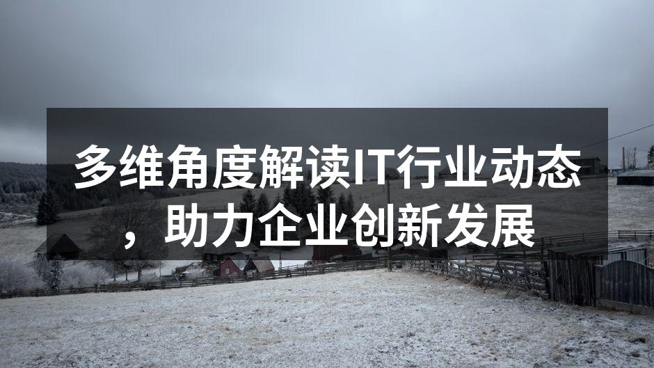 多维角度解读IT行业动态,助力企业创新发